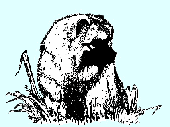 Clipart-Wolf-rechts